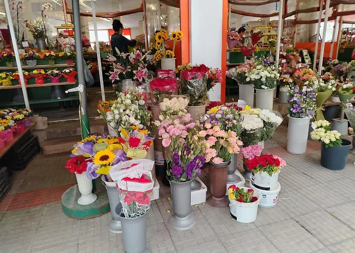 Good Mood & Parking 2 Διαμέρισμα *