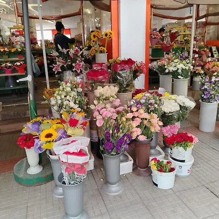 Good Mood & Parking 2 Daire *