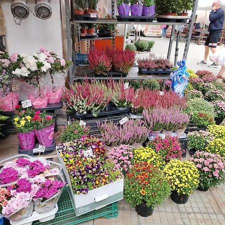 Good Mood & Parking 2 Daire