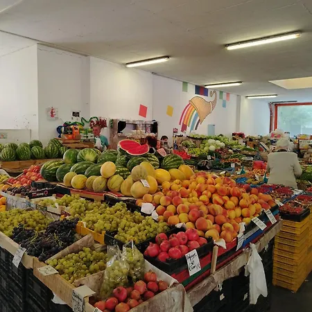 Daire Good Mood & Parking 2 Filibe