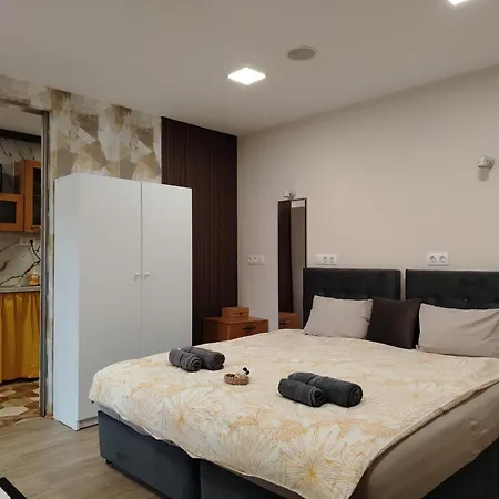 Good Mood & Parking 2 Daire *