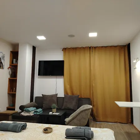 Good Mood & Parking 2 Daire *