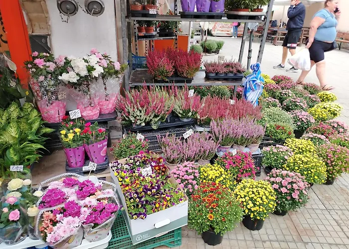 Good Mood & Parking 2 Апартамент